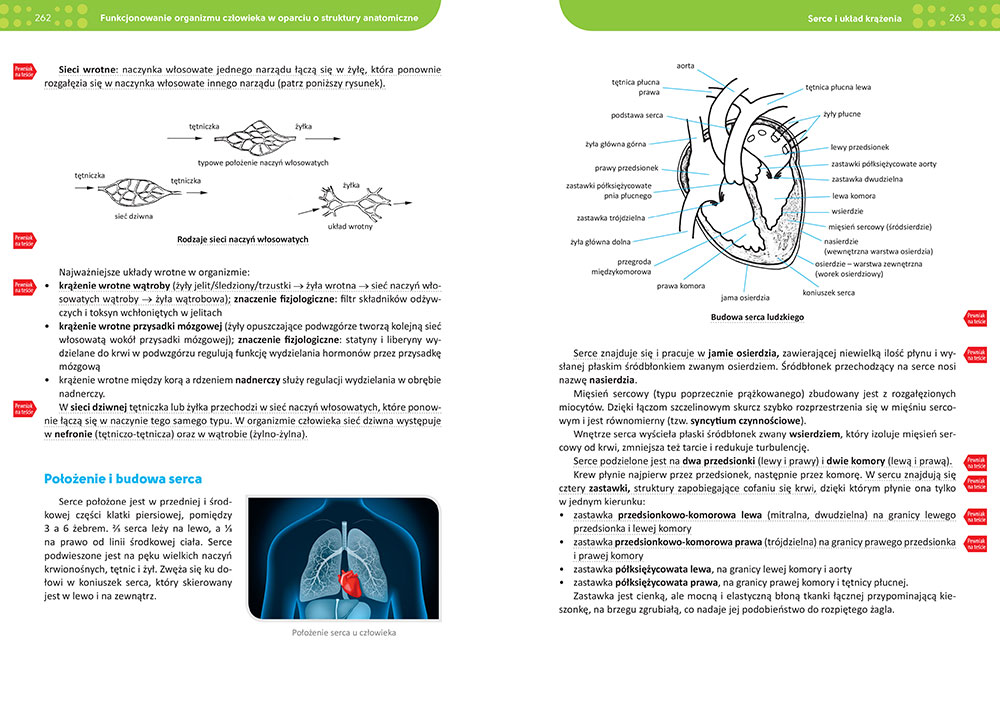 Repetytorium - liceum/technikum - biologia - 2025 - ściągi,sciagi